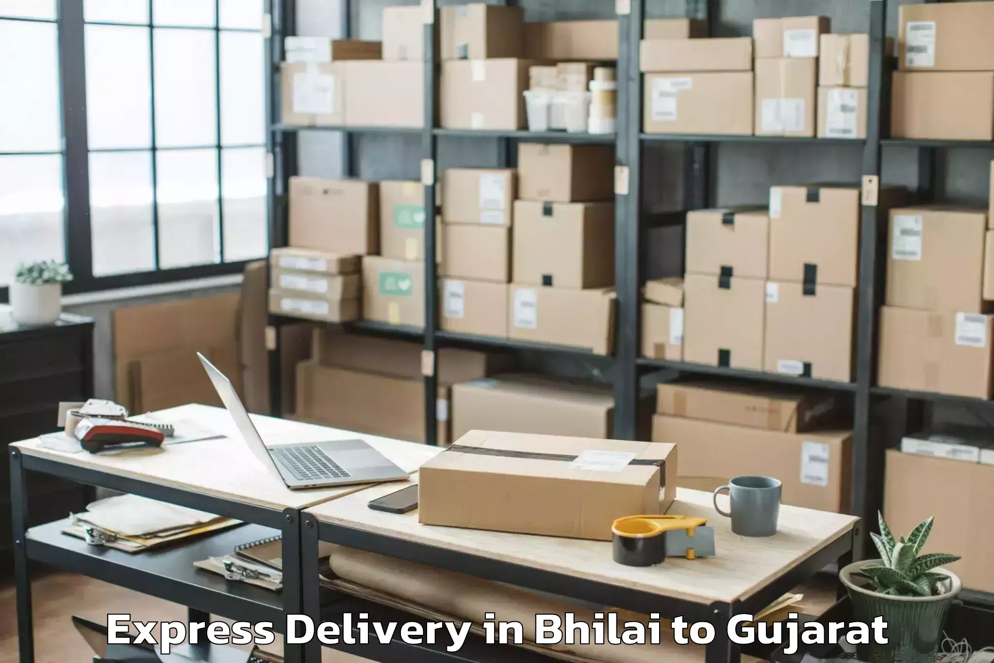 Efficient Bhilai to Garbada Express Delivery